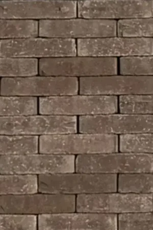 Betrouwbaar Tuinvisie gebakken bestrating Berlin Waalformaat WF60 Getrommeld