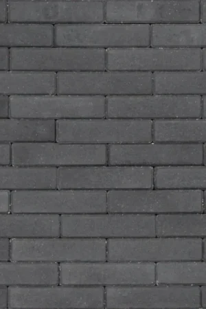 Tuinvisie Tremico straksteen Waalformaat (WF) Antraciet 6cm Actieprijs