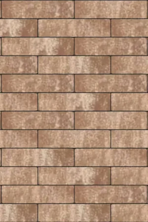 Betaalbaar Tuinvisie strakke bestrating Purestone Waalformaat 20x5x7cm Leem