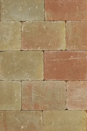 Tuinvisie getrommelde bestrating Metro 20x30x6 terrageel Laatste Versie