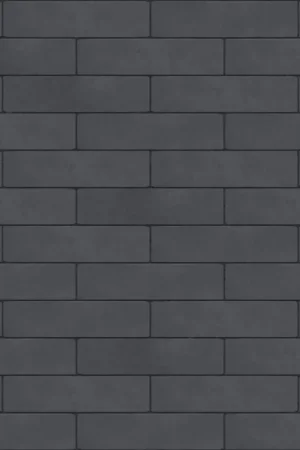 Tuinvisie strakke bestrating Purestone Waalformaat 20x5x7cm Antraciet Finale Uitverkoop