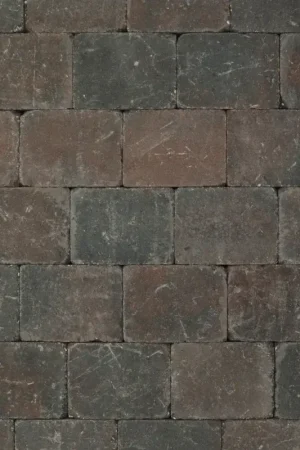 Bestseller Tuinvisie getrommelde bestrating Metro 15x20x6 bruin/zwart genuanceerd