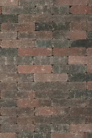 Tuinvisie getrommelde bestrating Metro 20x5x7 rood genuanceerd Koop Online