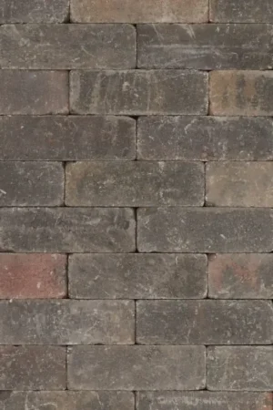 Voordeelprijs Tuinvisie getrommelde bestrating Metro 21x7x7 brons genuanceerd