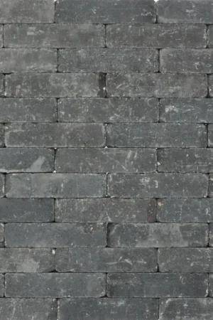 Tuinvisie getrommelde bestrating Metro 20x5x7 antraciet Alleen Vandaag