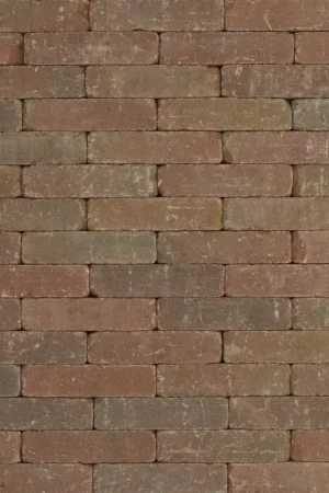 Tuinvisie getrommelde bestrating Metro 20x5x7 brons genuanceerd Hete Deal