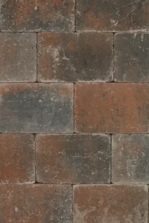 Tuinvisie Getrommelde bestrating Tambour 20x30x6 brons Finale Uitverkoop