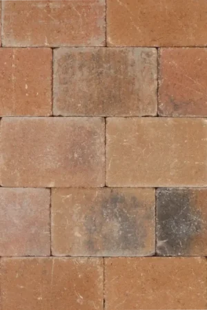 Tuinvisie Getrommelde bestrating Tambour 20x30x6 oud Bont Alleen Vandaag