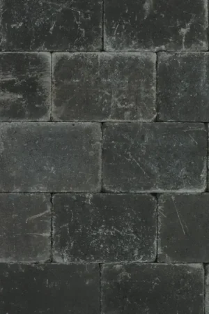 Alleen Vandaag Tuinvisie Getrommelde bestrating Tambour 20x30x6 antraciet