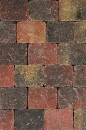 Tuinvisie Getrommelde bestrating Tambour 15x20x6 bont Dagaanbieding