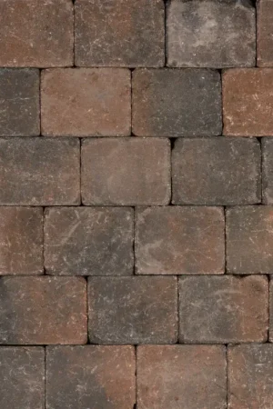 Tuinvisie Getrommelde bestrating Tambour 15x20x6 brons Koop Online