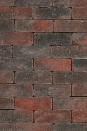 Tuinvisie Getrommelde bestrating Tambour 21x7x7 rood/zwart Veilige Betaling