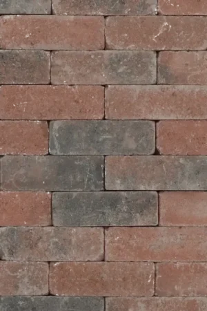 Alleen Vandaag Tuinvisie Getrommelde bestrating Tambour 21x7x7 brons