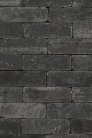 Tuinvisie Getrommelde bestrating Tambour 21x7x7 Antraciet Hete Deal