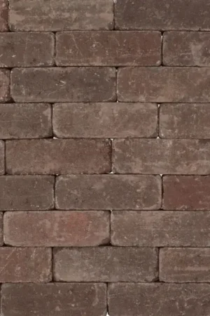 Tuinvisie Getrommelde bestrating Tambour 21x7x7 Beemsters bont Finale Uitverkoop