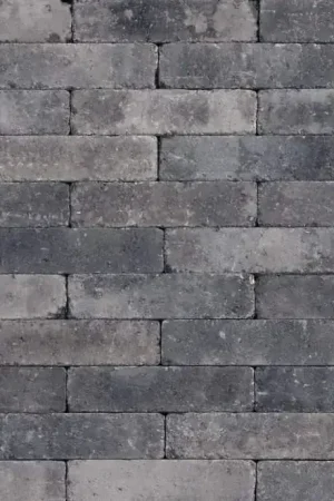 Tuinvisie Getrommelde bestrating Tambour 20x5x7 smook Shop Nu