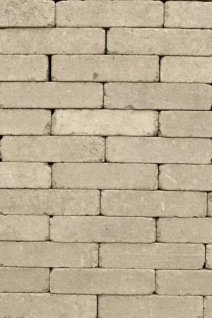 Tuinvisie Getrommelde bestrating Tambour 20x5x7 Taupe Bestseller