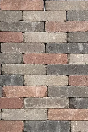 Tuinvisie Getrommelde bestrating Tambour 20x5x7 Terracotta mix Korting