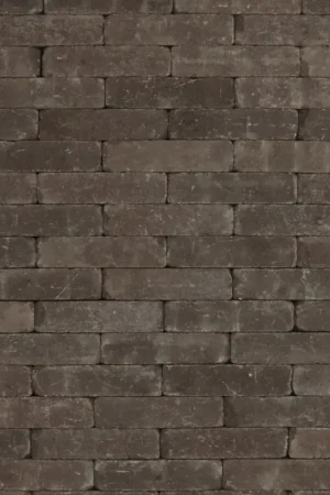 Tuinvisie Getrommelde bestrating Tambour 20x5x7 Mangaan Weekendaanbieding