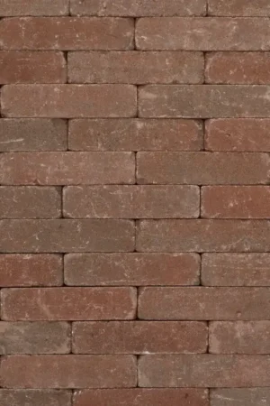 Tuinvisie Getrommelde bestrating Tambour 20x5x7 Paars genuanceerd Weekendaanbieding