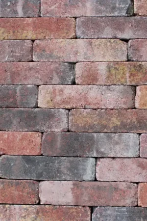 Tuinvisie Getrommelde bestrating Tambour 20x5x7 Bont Goedkoop