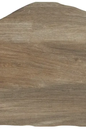 Beste Prijs Tuinvisie natuursteen Staptegel Flex Stones Ø42x36x2 Holz Marrone