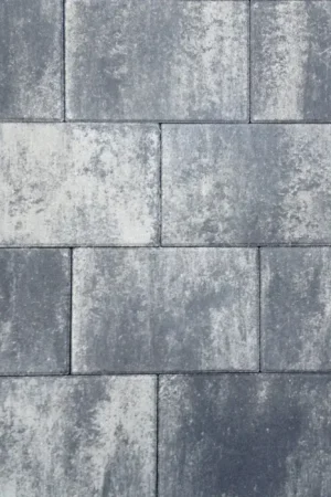 Tuinvisie straksteen Tremico 6cm 20x30cm Zeeuws bont Bestel Nu