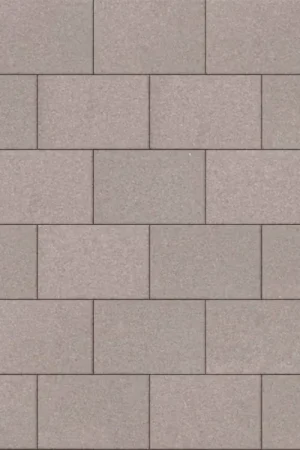 Tuinvisie straksteen Tremico 6cm 20x30cm Taupe Uitverkoop