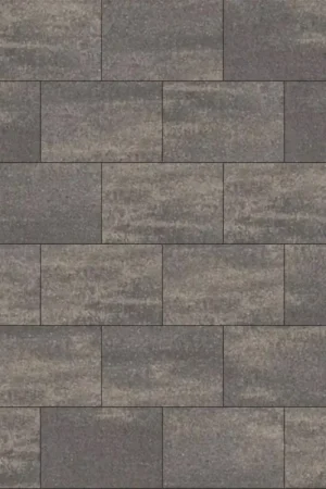 Tuinvisie straksteen Tremico 6cm 20x30cm Drents bont Koop Online