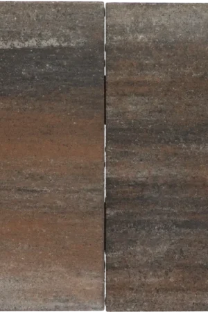 Tuinvisie terrastegel Tremico 6cm 30x60cm Texels bont Beperkt Aanbod