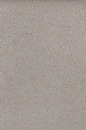 Tuinvisie terrastegel Tremico 6cm 60x60cm Taupe Koopje