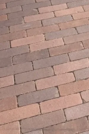 Backner - Gebakken Dikformaat getrommeld - 20x6,5x5,8 cm - Vechtkade Gereduceerde Prijs