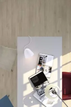 APE Quebec Haya Goedkoop