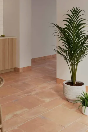 Beste Prijs WOW Design Roots XXL Cotto