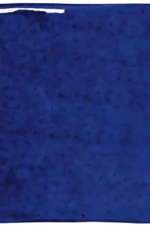 WOW Roots S Indigo Gloss Alleen Vandaag