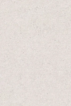 Alleen Vandaag Tau DC Calcare White Rett.