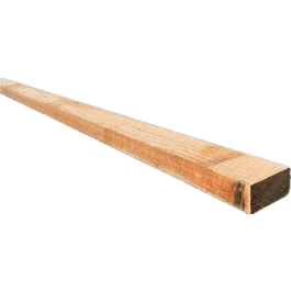 Betaalbaar Douglas Lariks 50x100x3000mm regel onbehandeld