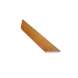 Weekendaanbieding Douglas Lariks schoor 5x15x70 cm