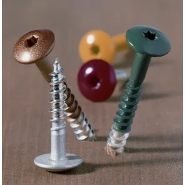 Direct Beschikbaar Ivana HPL/Trespa schroeven RVS 4.8x38 torx 20 - doos 100 stuks