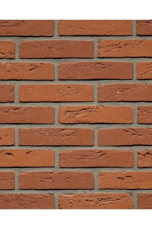 Actieprijs Gevelsteen roodbruin genuanceerd hf cs53015