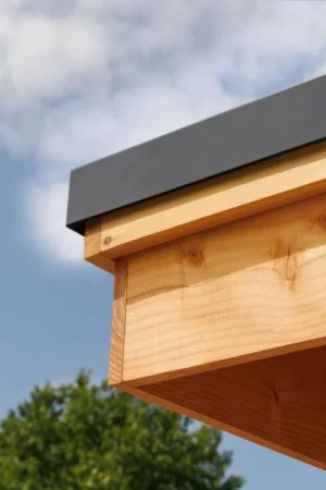 Beperkte Voorraad Daktrim set aluminium zwart overkapping 400x300