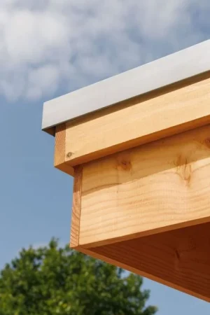 Veilige Betaling Daktrim set aluminium zilverkleurig overkapping 400x680