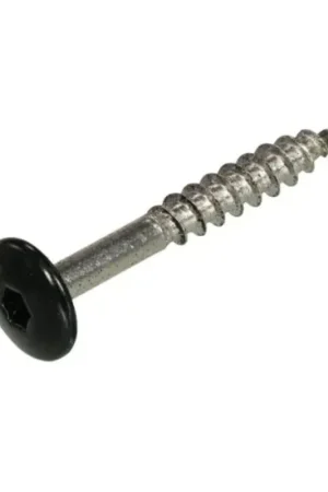 Alleen Vandaag Eternit kleurschroef 4,2x52mm rvs a2 200pd c50 zwart