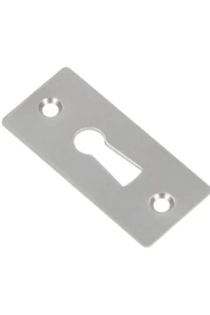 Beperkt Aanbod Ami sleutelrozet f1 recht vlak 56x25x1,5