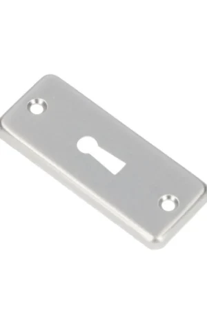 Rechtstreeks Van De Fabrikant Ami cilinderrozet f1 recht 83x34mm opschroef