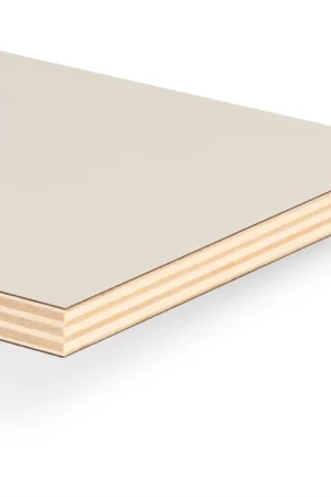 Bestel Nu PAKAANBIEDING populieren multiplex met HPL - 18mm 122x244cm - wit - TST-structuur - 50 stuks | BOUWSUB