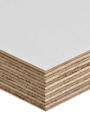 Beperkt Aanbod Betonplex berken 15mm 125x250cm glad - wit | BOUWSUB