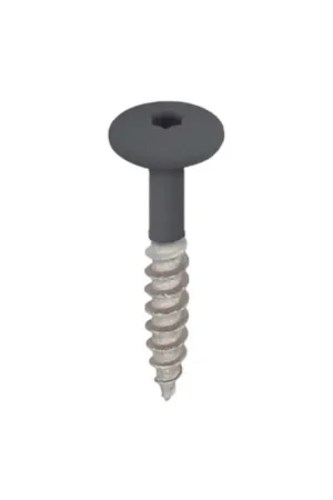 Voordeelprijs Keralit Torx Schroeven 32mm 100st 2890 RVS Antraciet