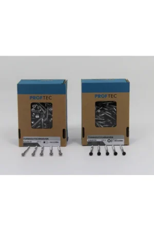 RVS Gevelschroef Beperkte Voorraad