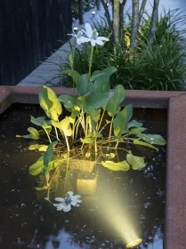 Superprijs In-Lite Sub